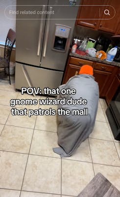 tiny green mall wizard meme2