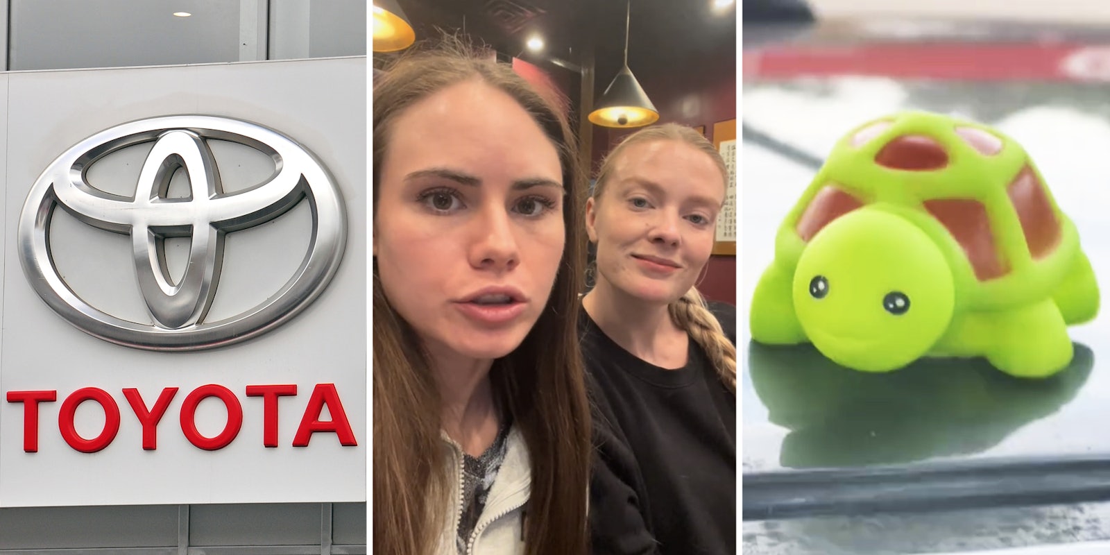 Toyota logo(L), Two women talking(c), Turtle(r)