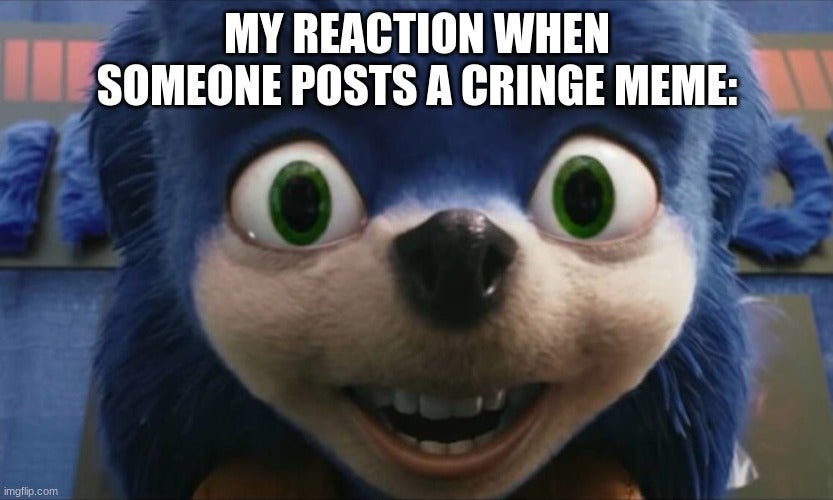 ugly sonic with caption 'my reactionwhen seomeone posts a cringe meme'