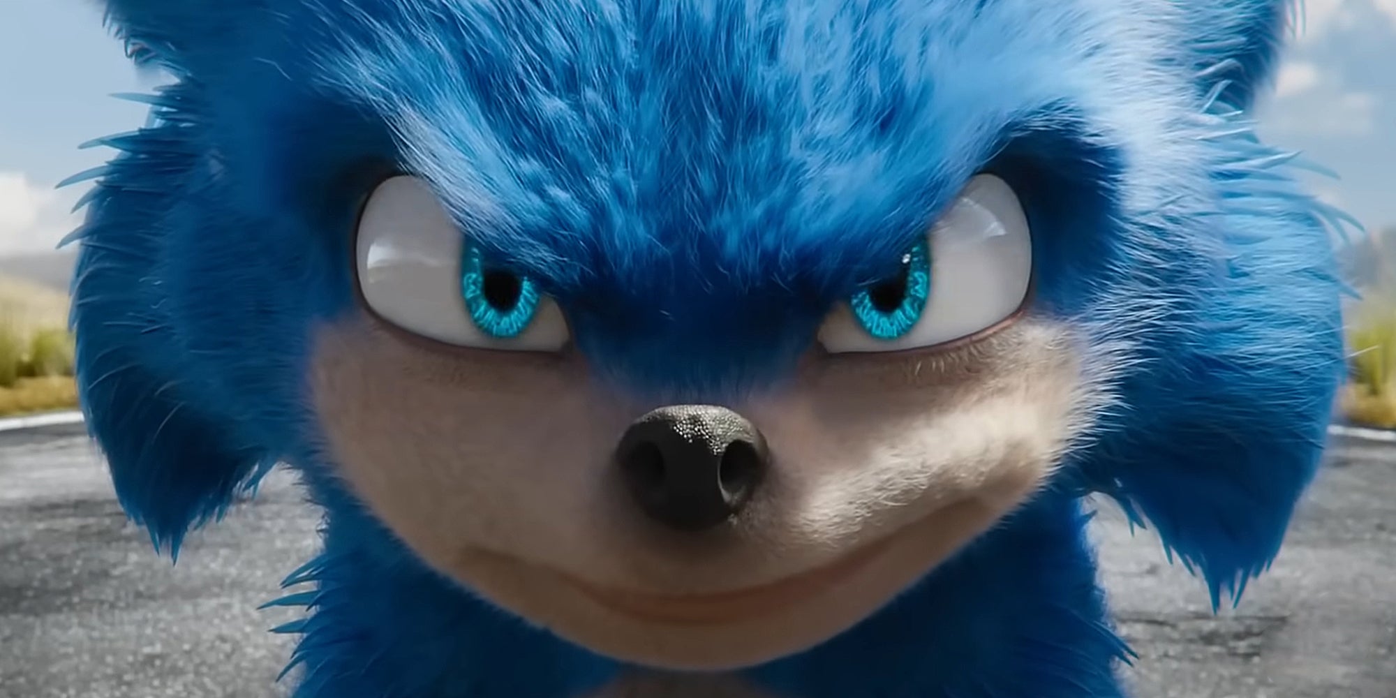 sonic the hedgehog