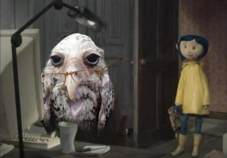 wet owl in Coraline