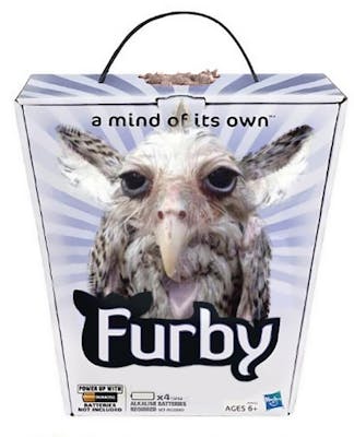 wet owl photoshopped onto furby box