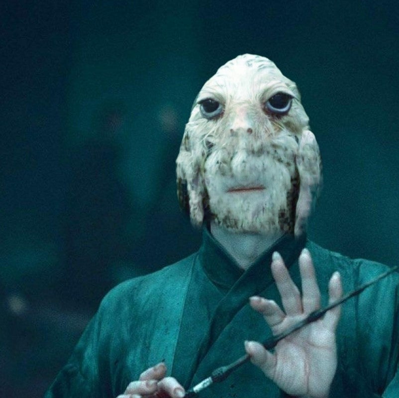 wet owl photoshopped onto voldemort's head