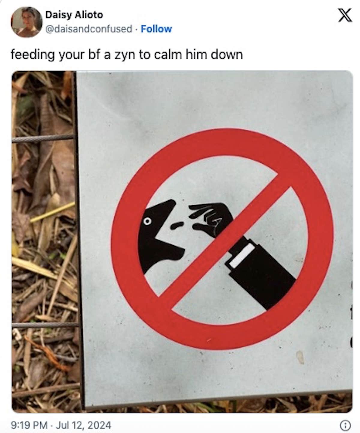 Zyn Memes Spread On The Zynterverse Due To The Zynpocalypse