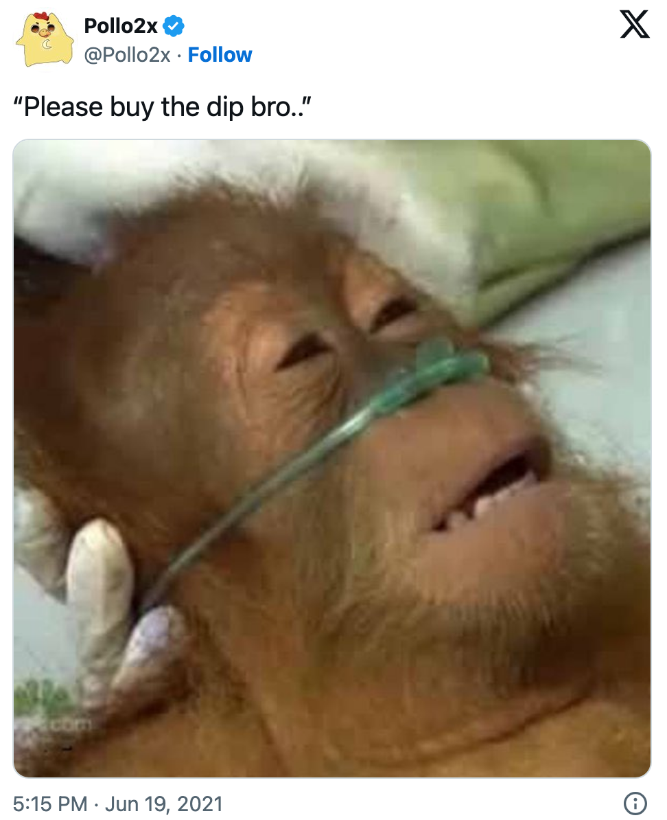 Buy the dip monkey meme posted on Twitter by Pollo2x