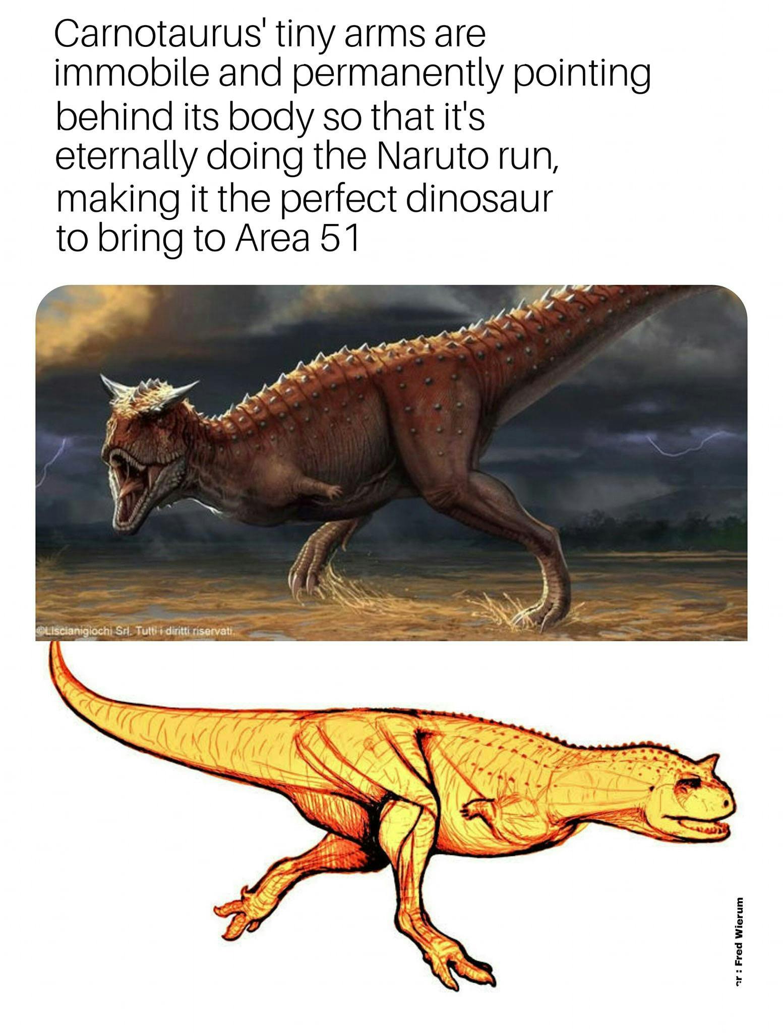 Naruto Run meme posted on Reddit by gallowboob