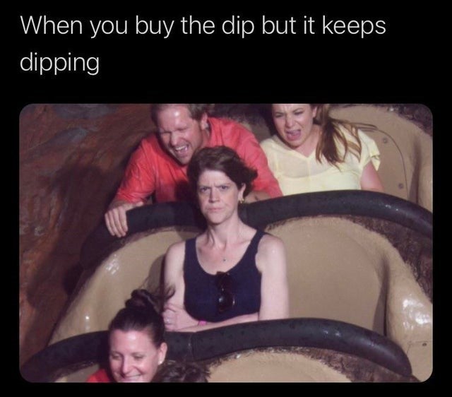 Buy the Dip Splash Mountain meme posted on Twitter by CryptoFox2023