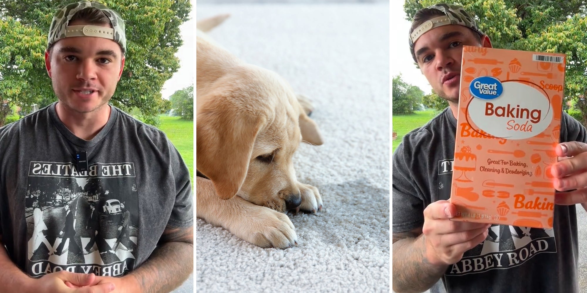 Expert shares how to get rid of dog stains with baking soda and vinegar