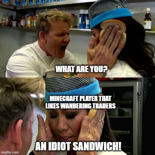 minecraft players that like wandering traders idiot sandwich meme