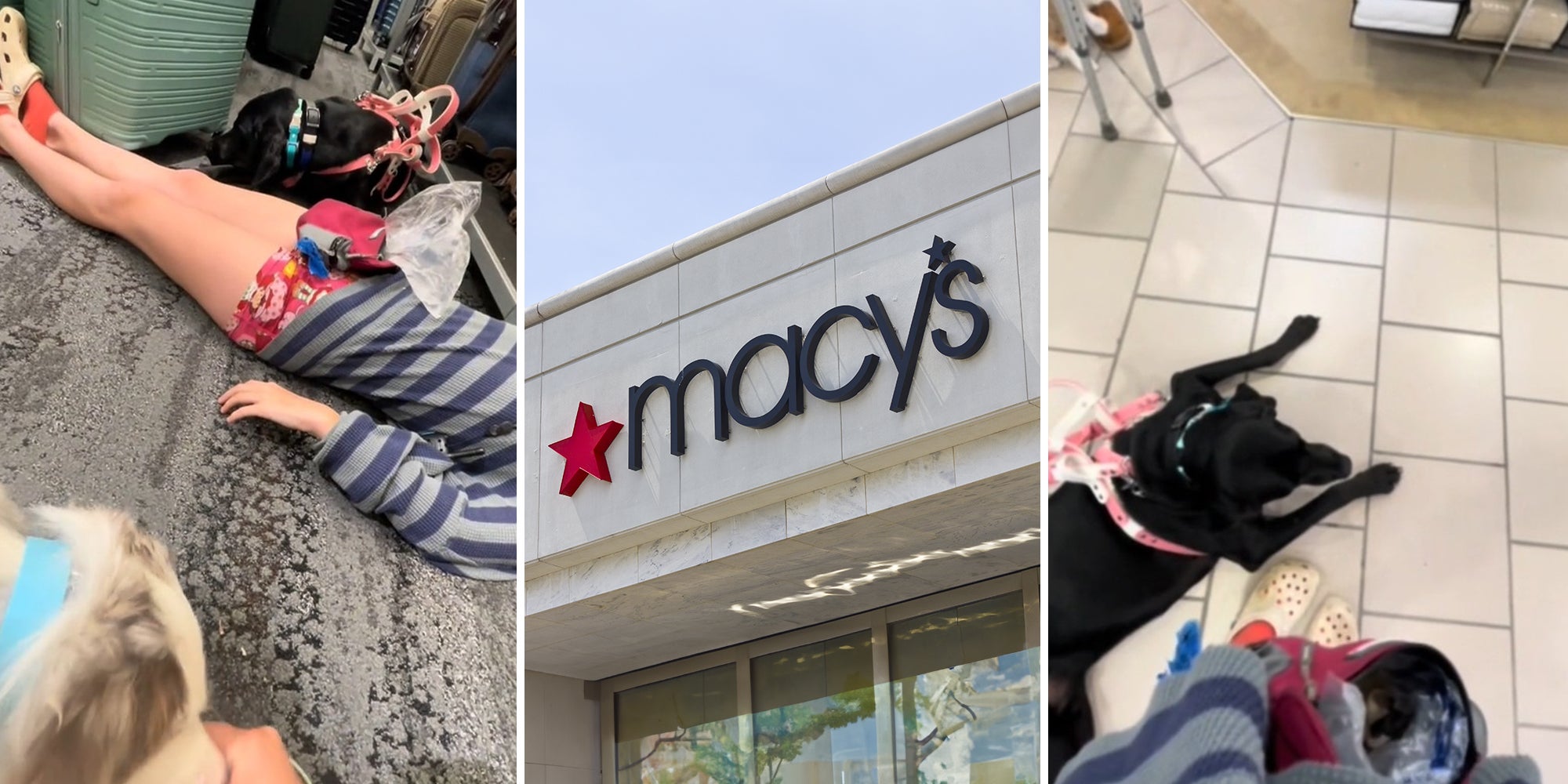 Macy’s worker refuses to allow service dog in store
