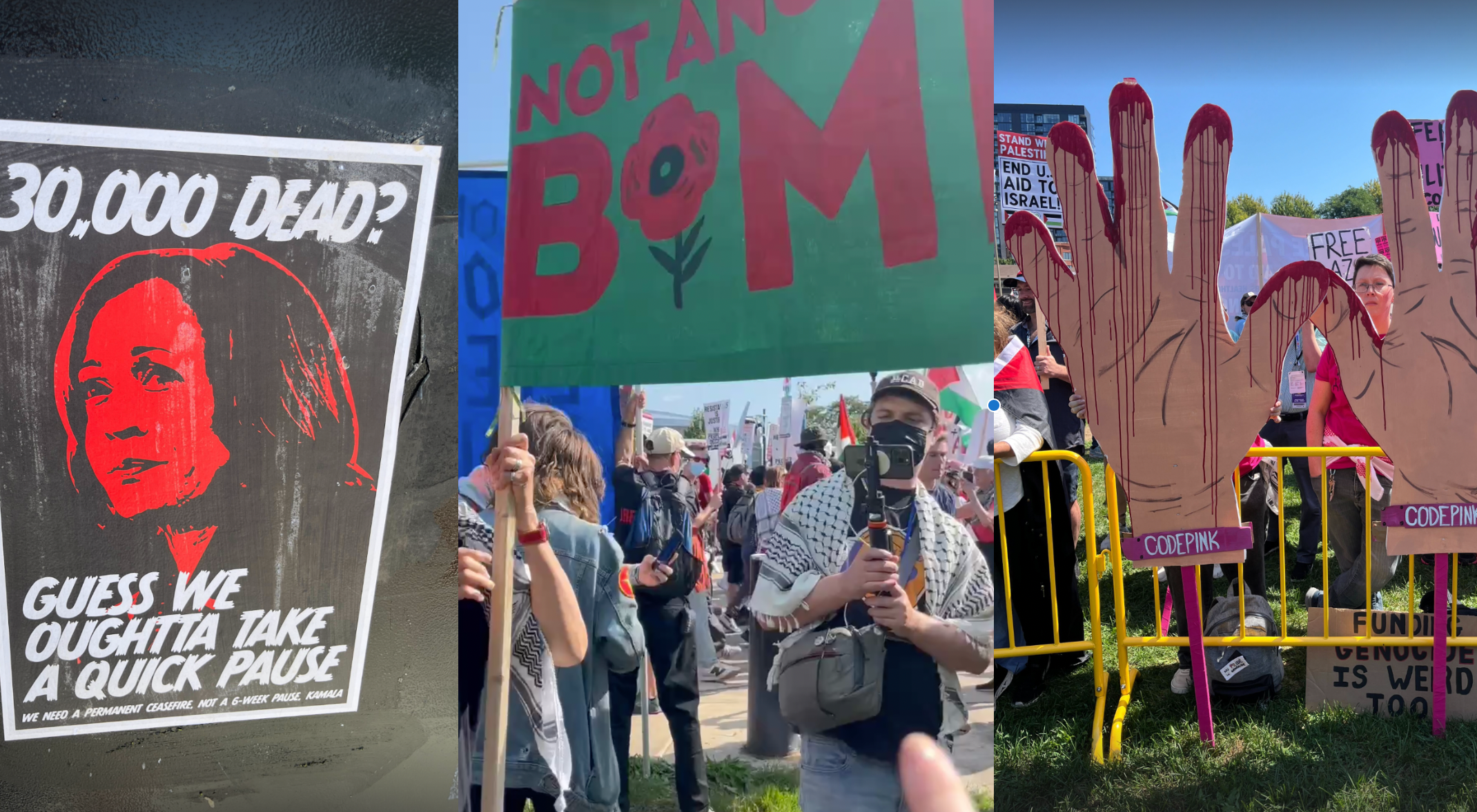 Voters Protest in the March on the DNC