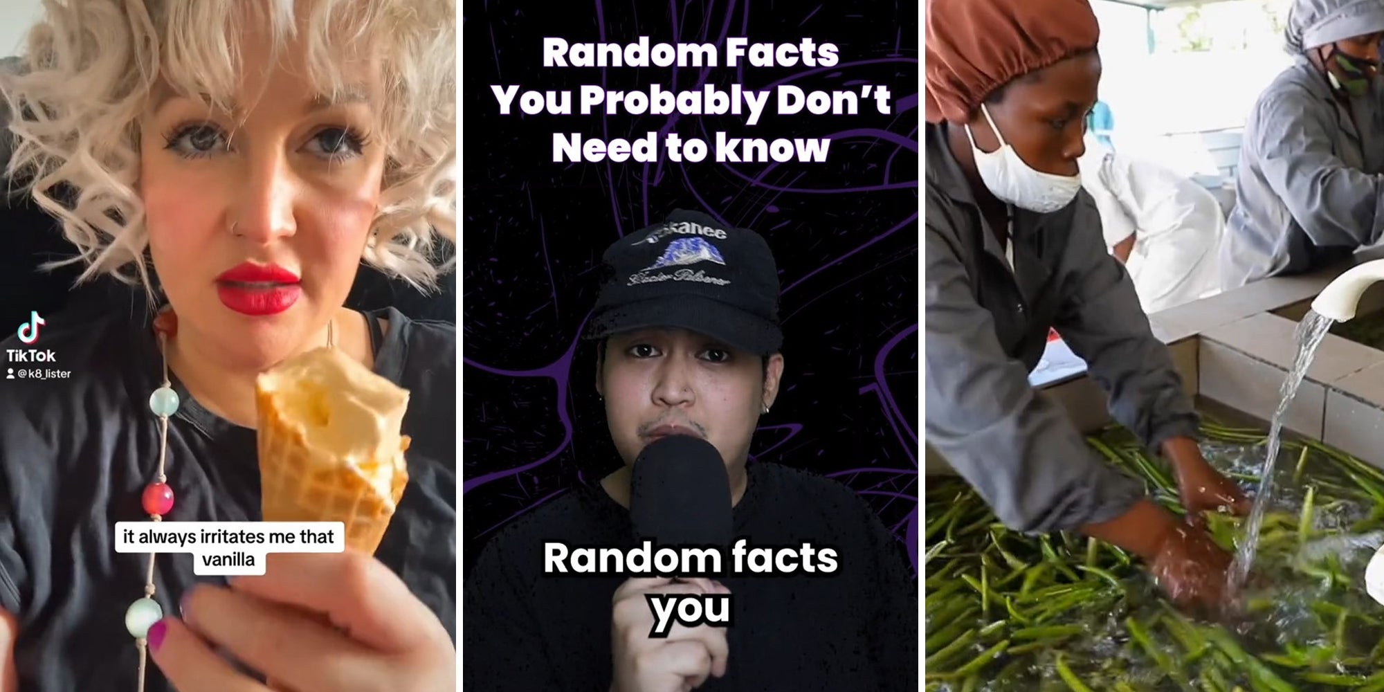 where does vanilla flavoring come from tiktok