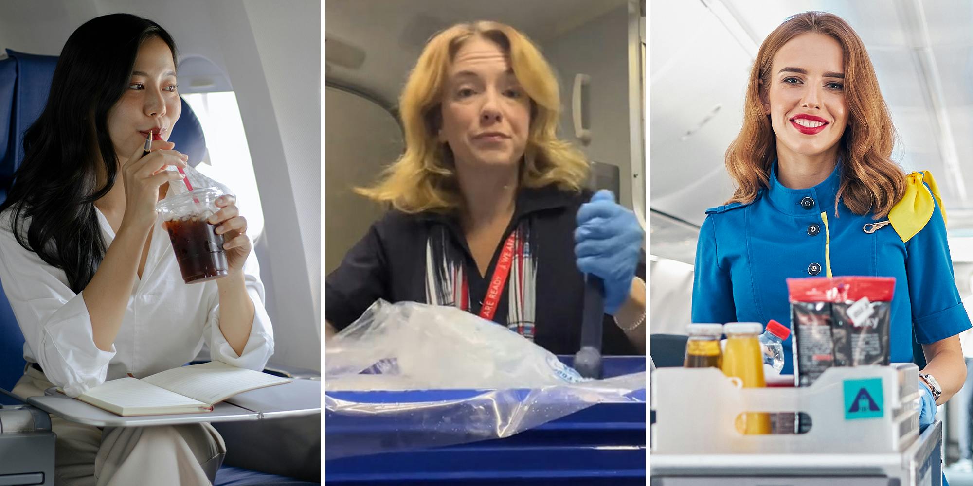 Flight attendant puts the rumors about the airplane ice to bed