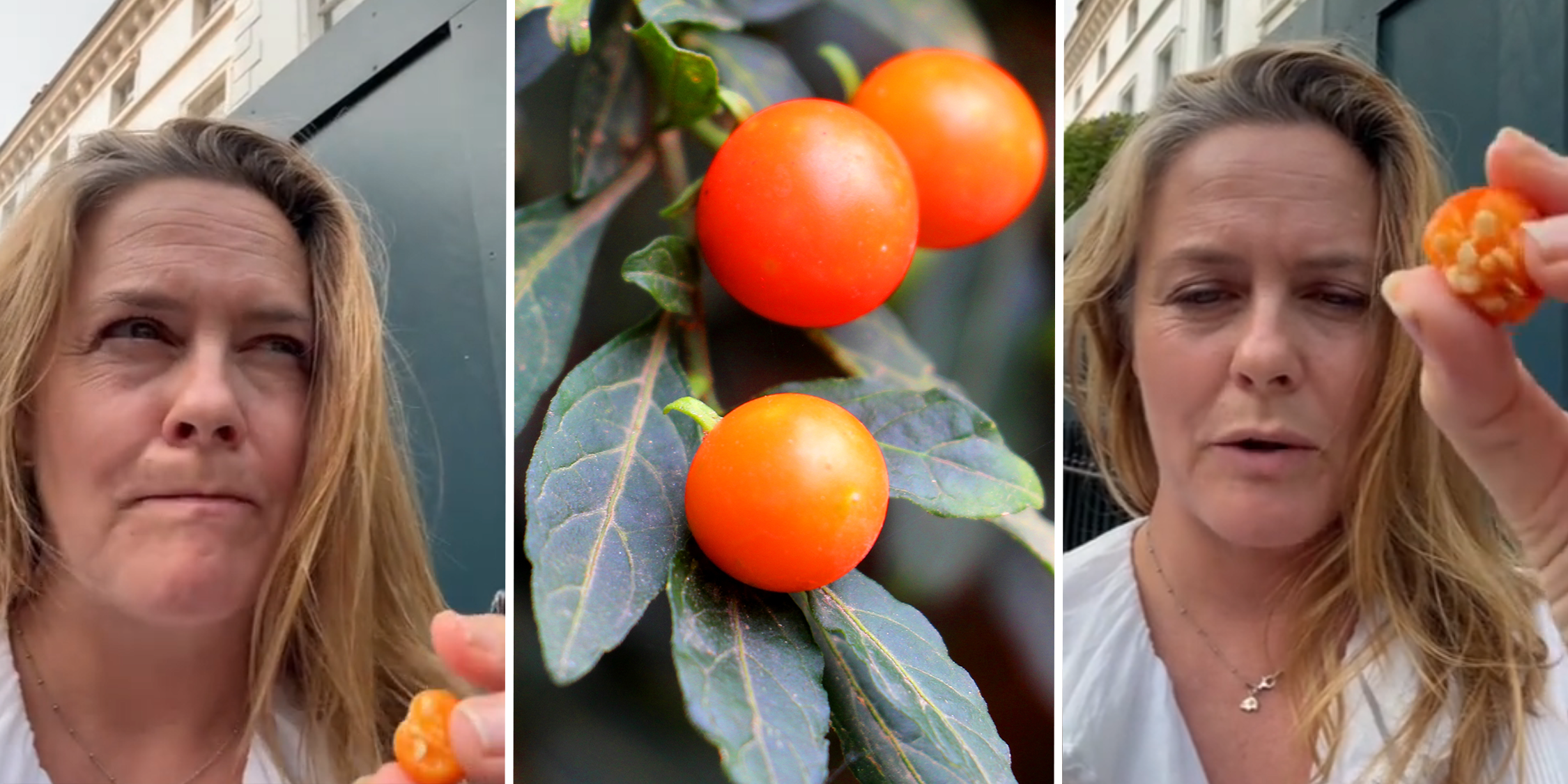 alicia silverstone poison fruit