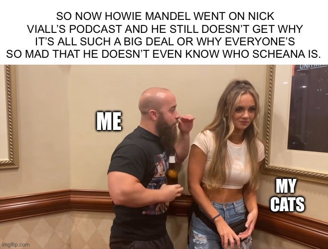 howie mandel scheana drama john silver anna jay meme