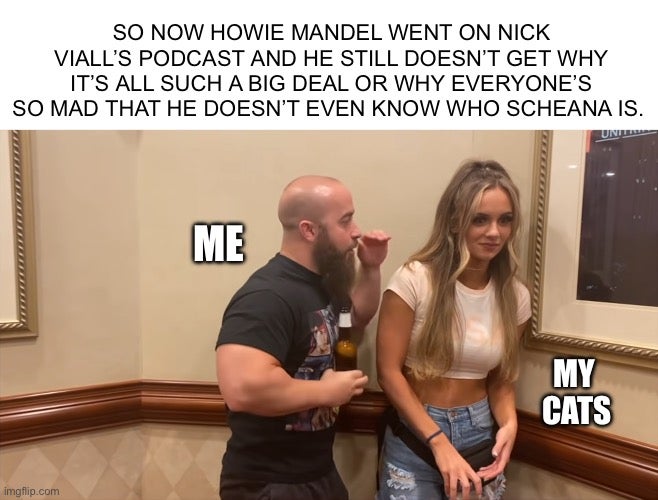 howie mandel scheana drama john silver anna jay meme