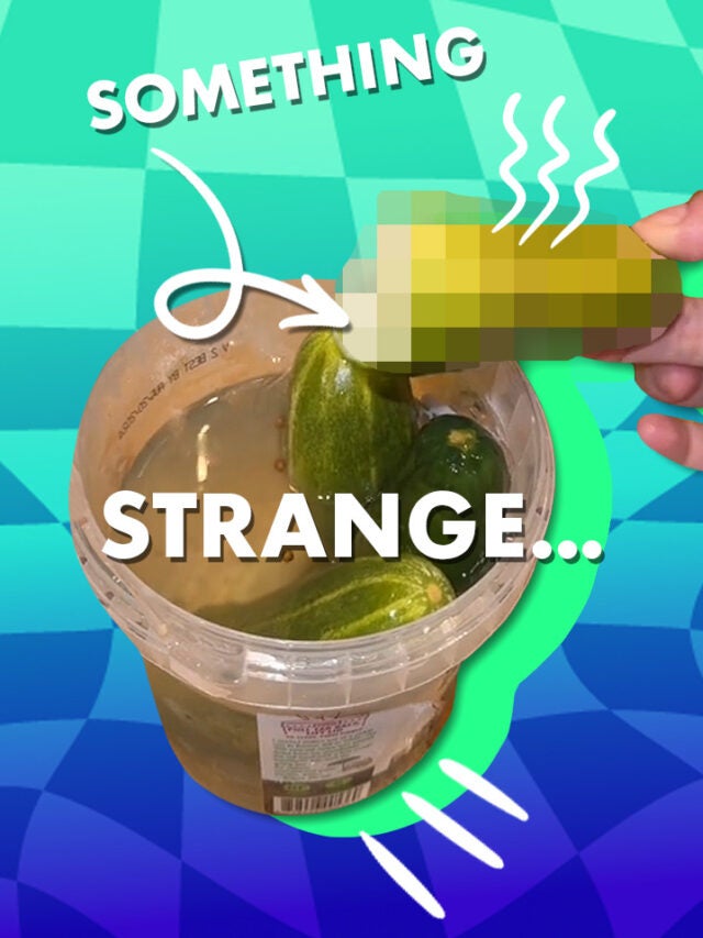 pickles over blue and green