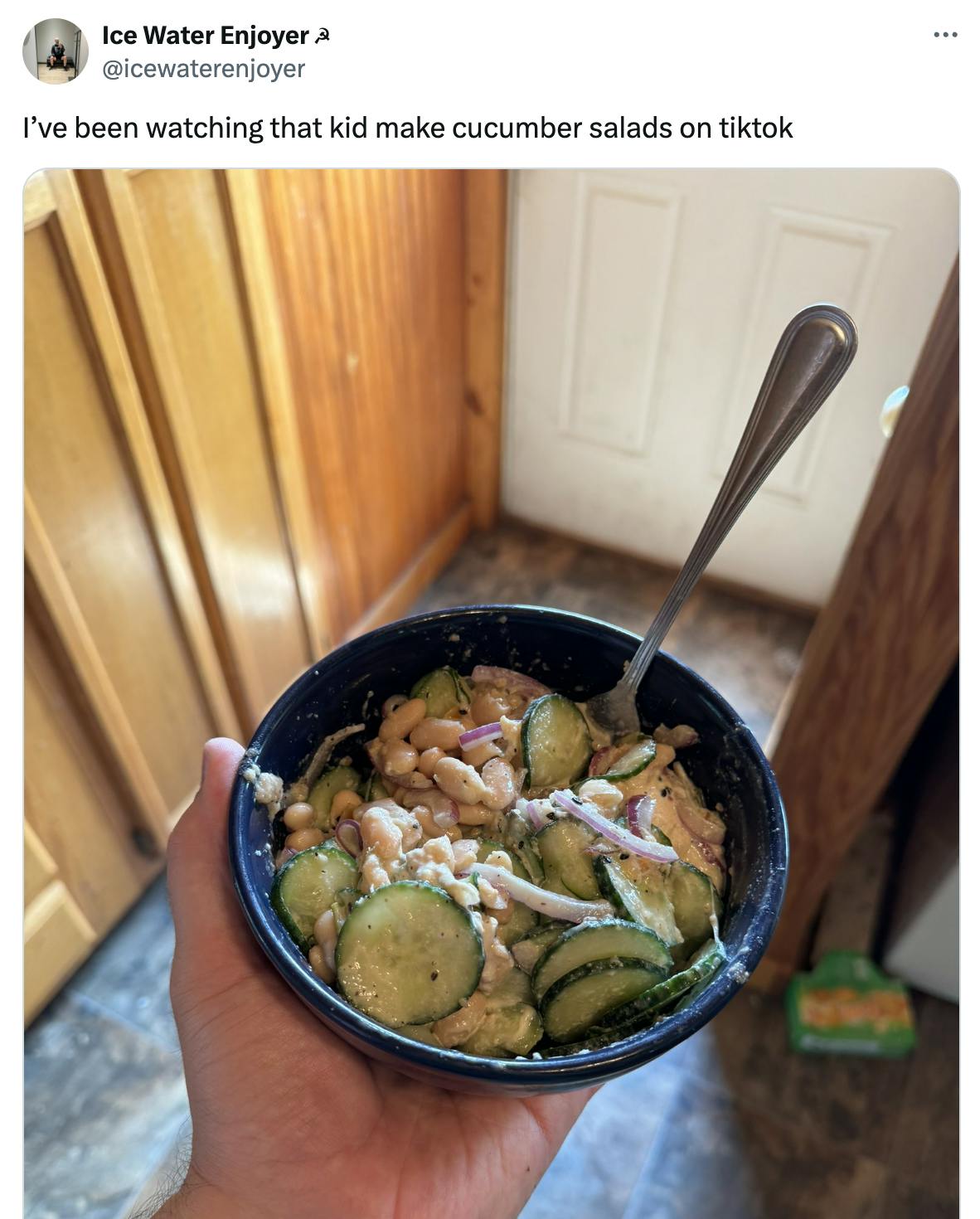 Photo of a cucumber salad in a bowl. Text reads, 'I’ve been watching that kid make cucumber salads on tiktok'