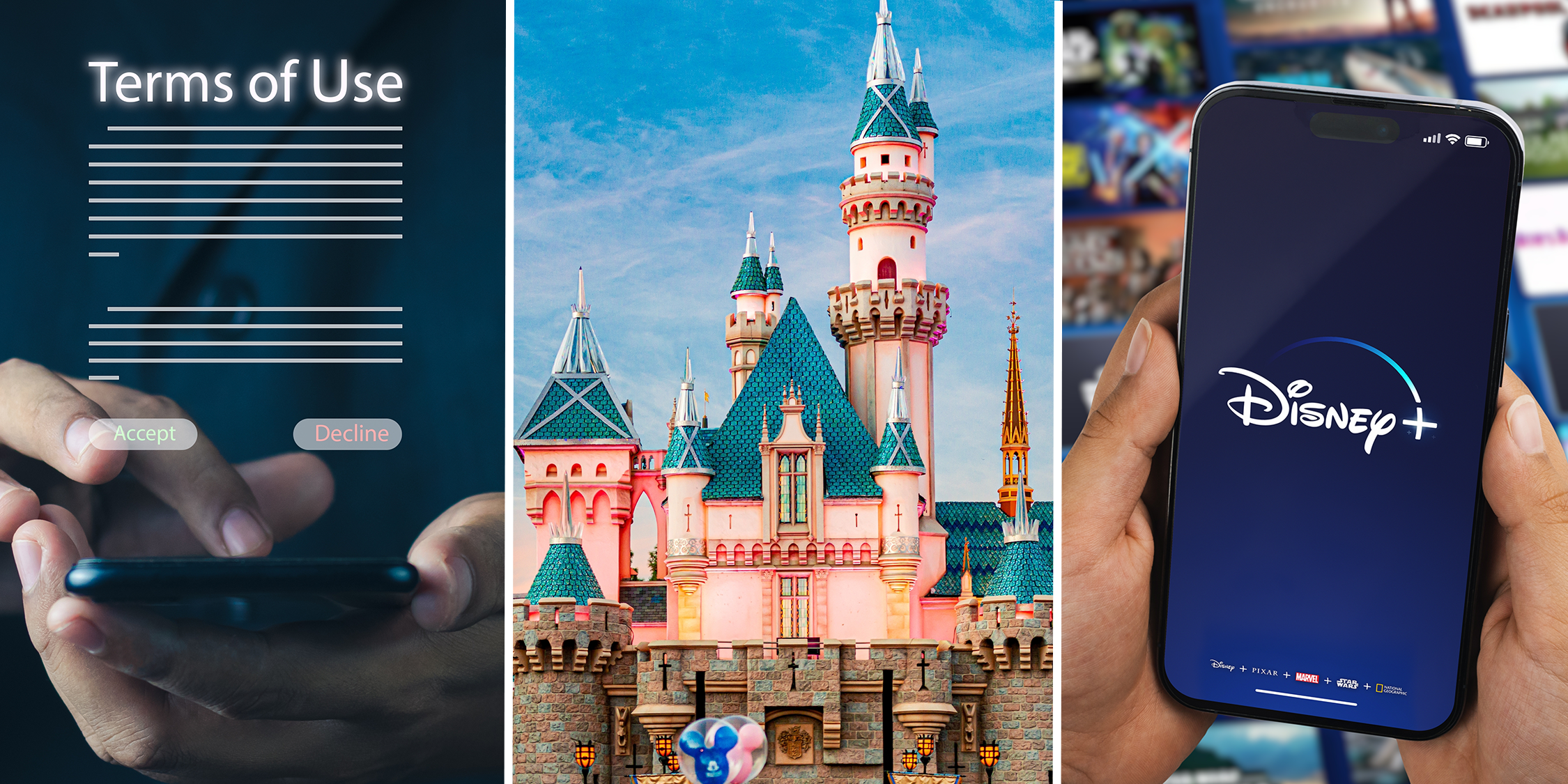 disney lawsuit terms and conditions