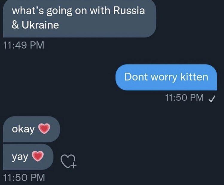 ukraine-russia don't worry kitten meme