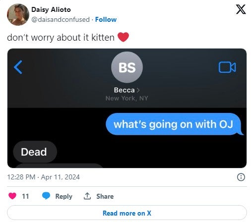 oj simpson don't worry kitten meme