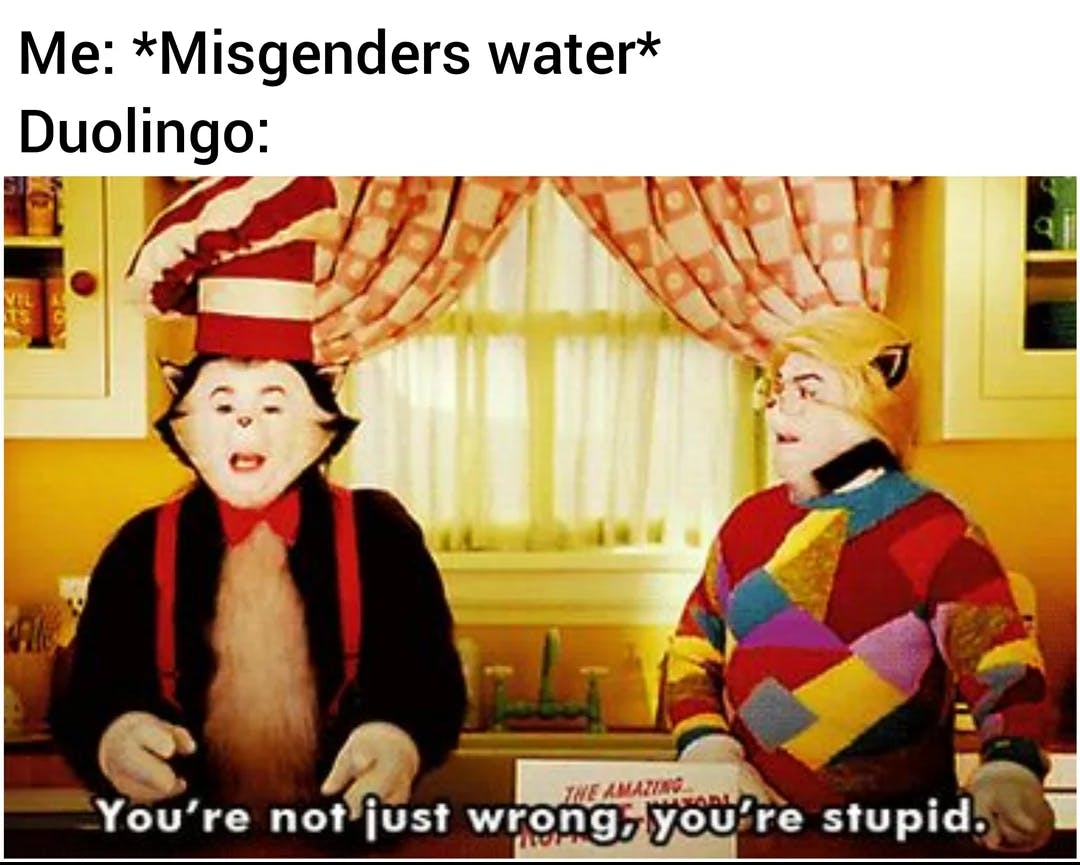 duolingo's response to misgendering water being 'you're not just wrong, you're stupid'