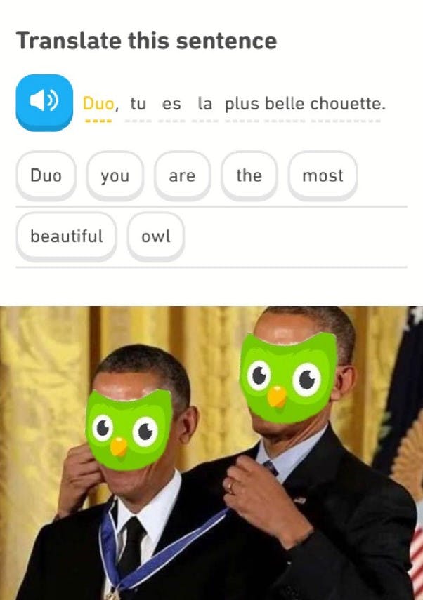 duo giving duo a medal with the caption 'duo you are the most beautiful owl'