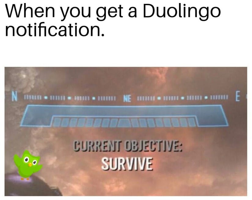 meme that read 'when you get a duolingo notification,' then says, 'current objective-survive'