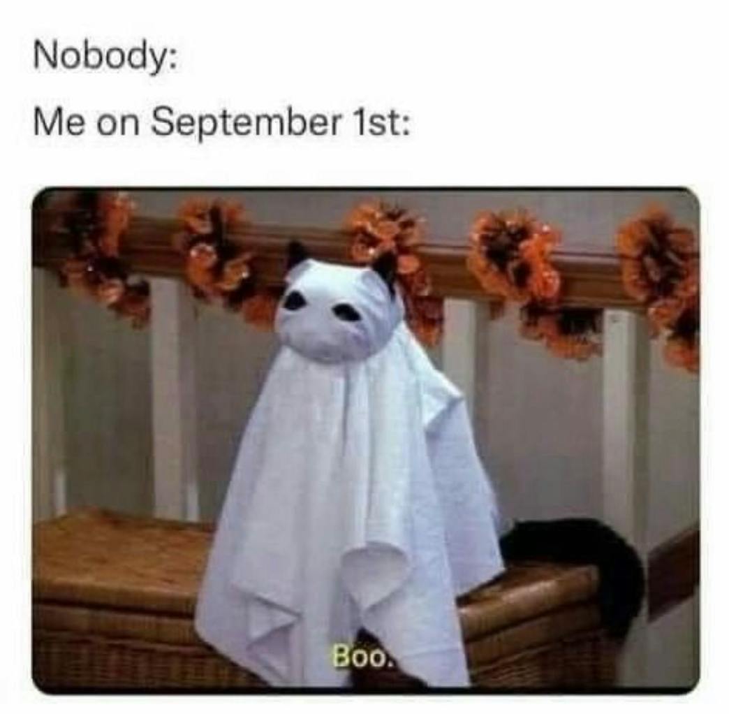 Screenshot of Salem from the live action Sabrina the Teenage Witch dressed as a ghost saying, 'Boo.' Text reads, 'Nobody: Me on September 1st:'