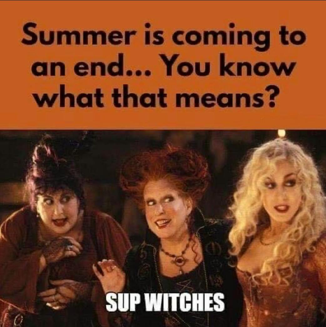 Fall meme. Text reads, 'Summer is coming to an end... You know what that means?' With a screenshot from Hocus Pocus of the three witches saying, 'Sup witches.'