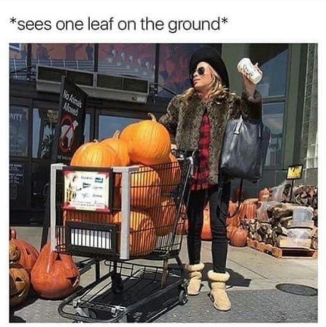 Fall meme that says, '*sees one leaf on the ground*' with a blurry photo of a woman in autumn clothes holding a Starbucks card with a grocery cart filled with pumpkins.