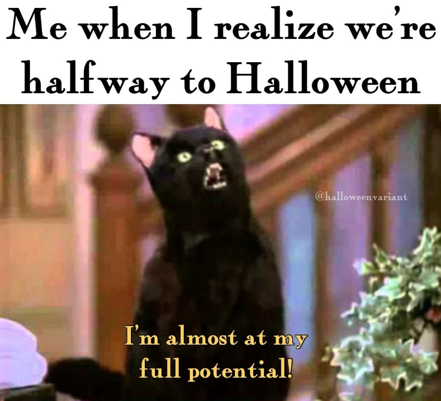 Fall meme that reads, 'Me when I realize we're halfway to Halloween.' Salem from Sabrina the Teenage Witch saying, 'I'm almost at my full potential!'