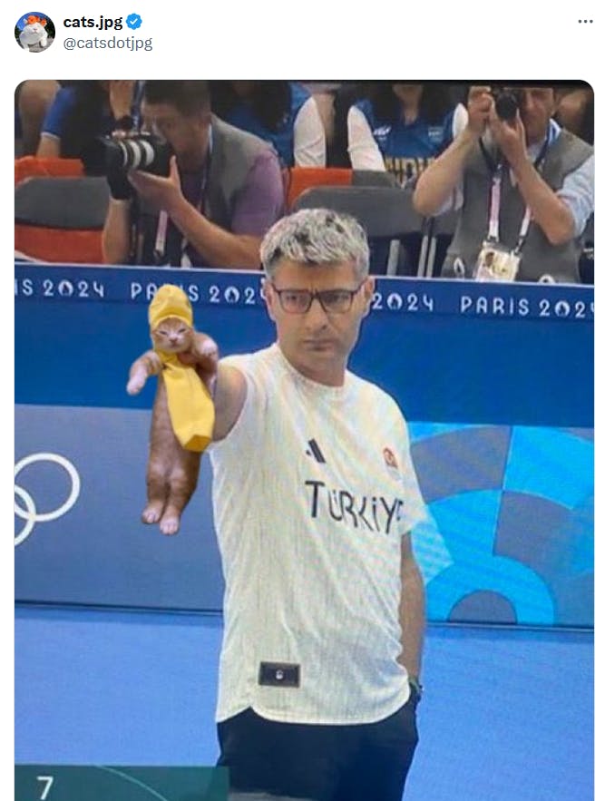 Funny Olympics meme with Yusuf Dikec holding a kitten instead of a gun.