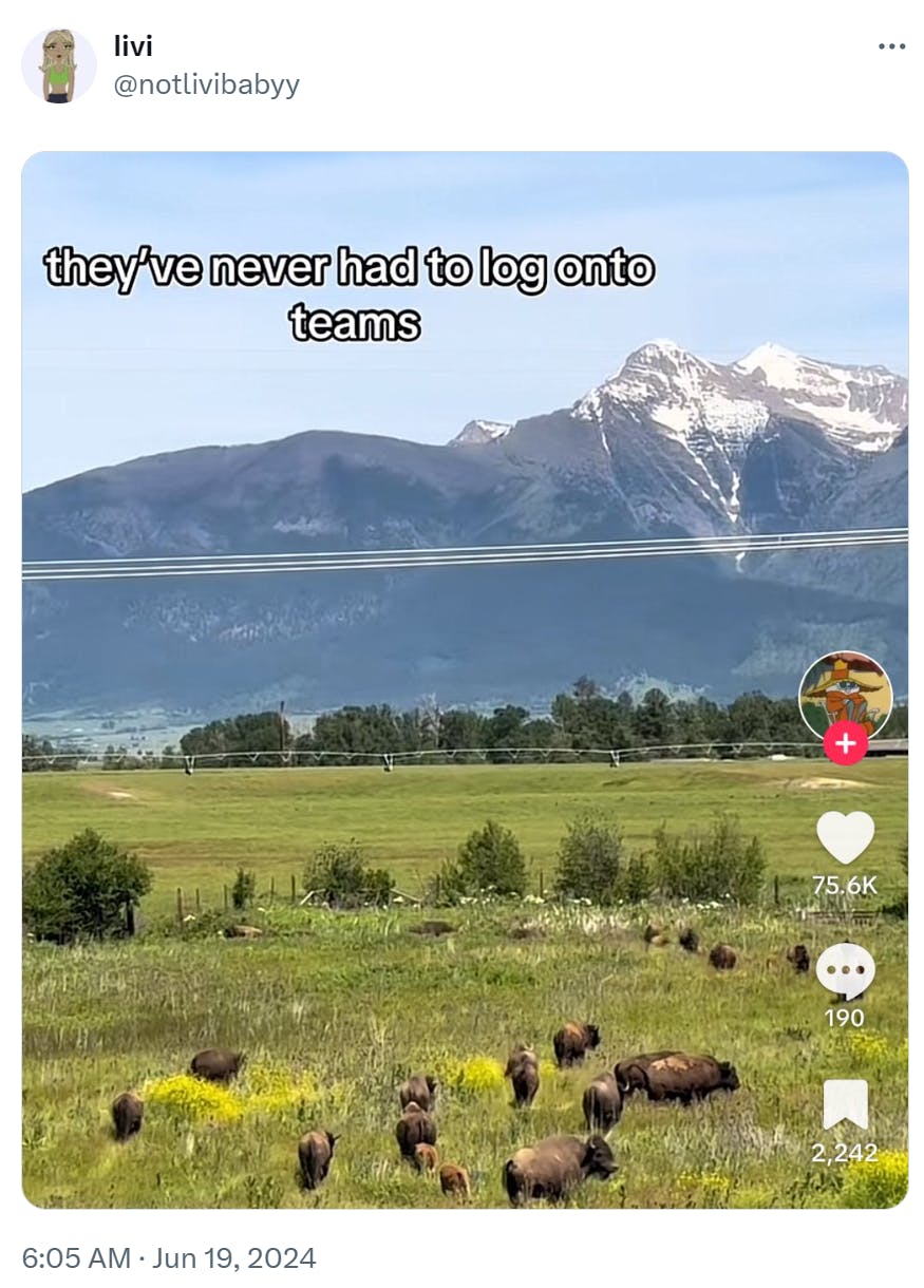 Funny work meme showing a field of wild animals with a mountain in the background. Text overlay reads, 'they've never had to log into teams.'