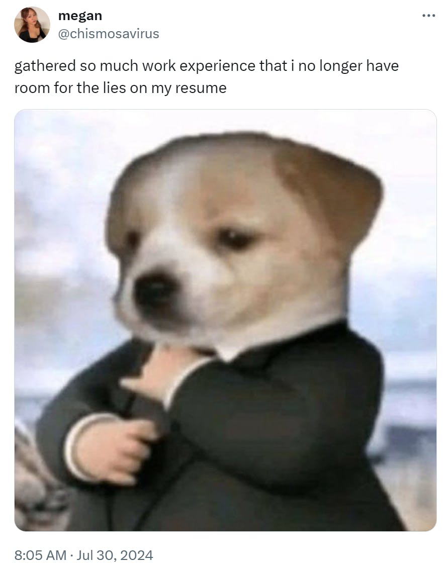 Funny work meme, text reads, 'gathered so much work experience that i no longer have room for the lies on my resume' with a photo of a baby in a suit with a puppy's face photoshopped over it.