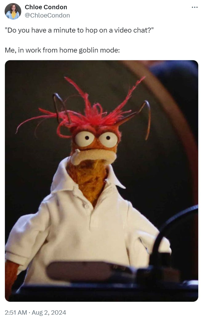 Funny work meme that says, ''Do you have a minute to hop on a video chat?' Me, in work from home goblin mode:' with a screenshot of Pepé the King Prawn Muppet.