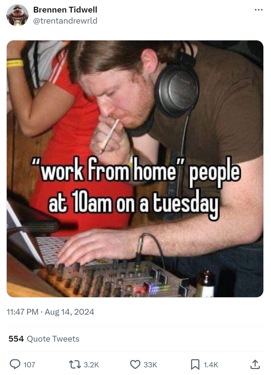 Photo of a man smoking a joint and DJing. Text reads, ''work from home' people at 10am on a tuesday.'