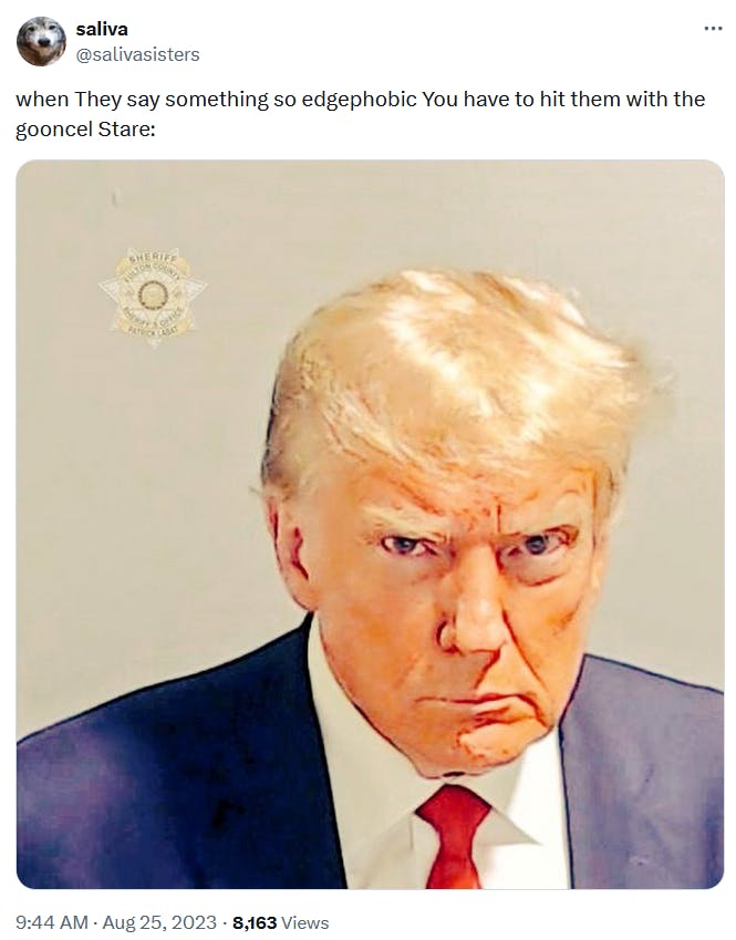 Gooning meme with Donald Trump's mug shot.