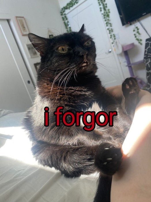 black cat i forgor