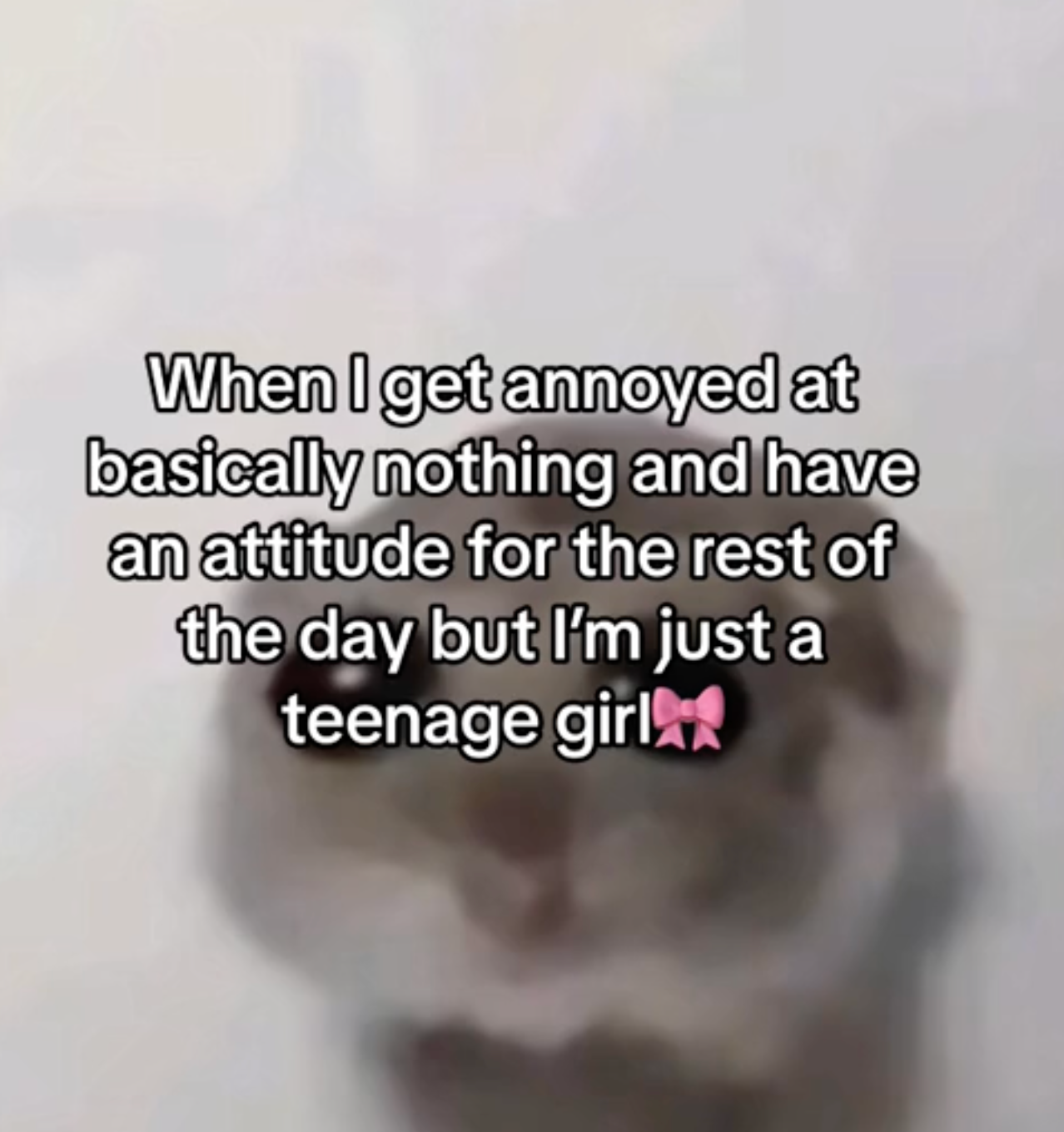 i'm just a girl meme with hamster