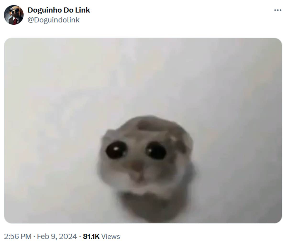 Хомячок грустный