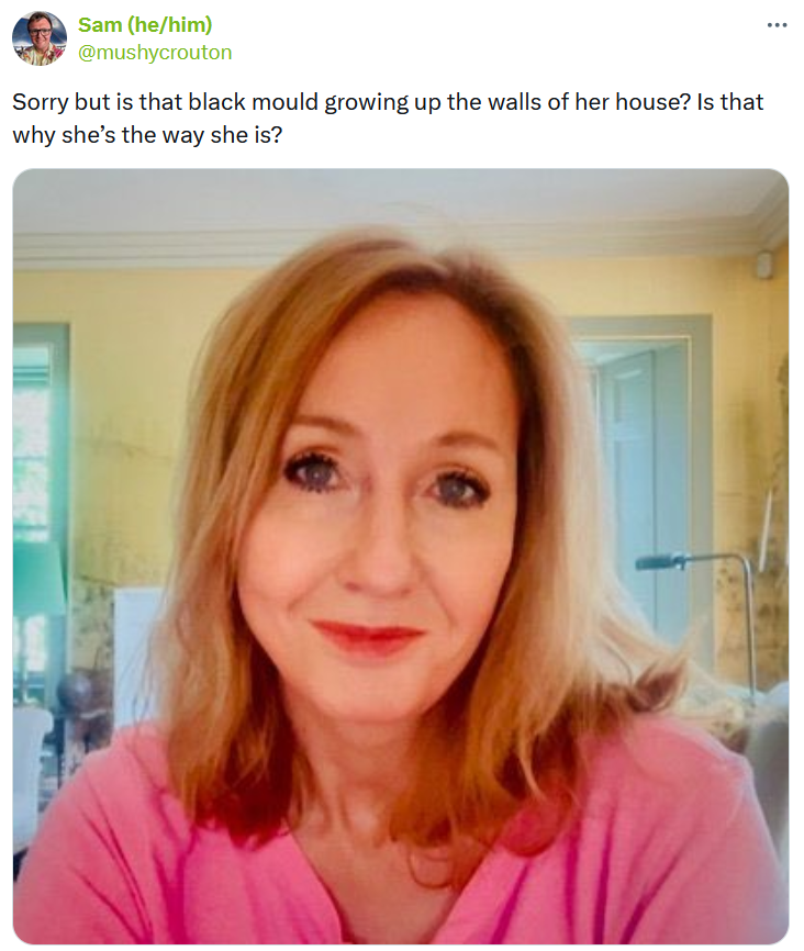 J.K. Rowling black mold meme original tweet with the profile photo.