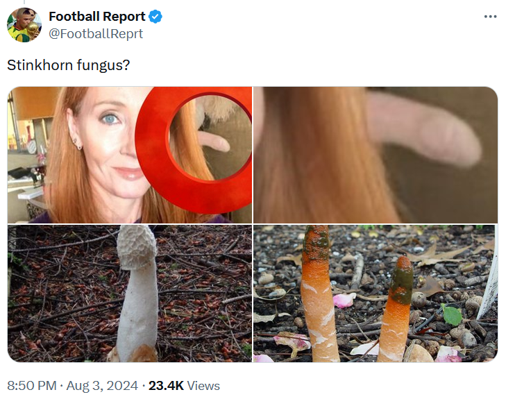 J.K. Rowling black mold meme comparing something in her new profile photo to stinkhorn fungus.