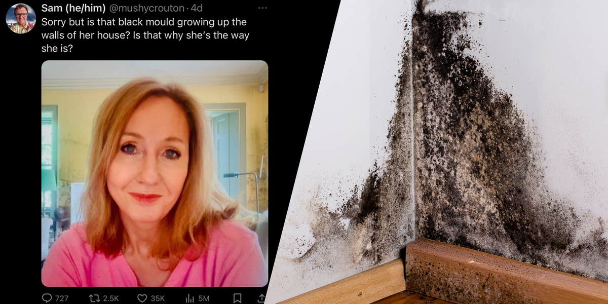 JK Rowling Black Mold Memes Spread After Author Changes PFP