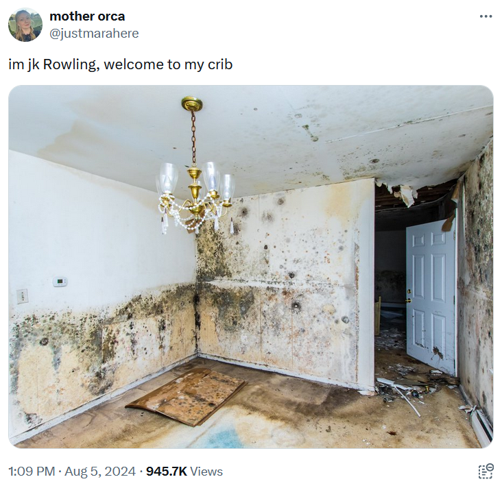 J.K. Rowling black mold meme with a photo of an extremely moldy house.