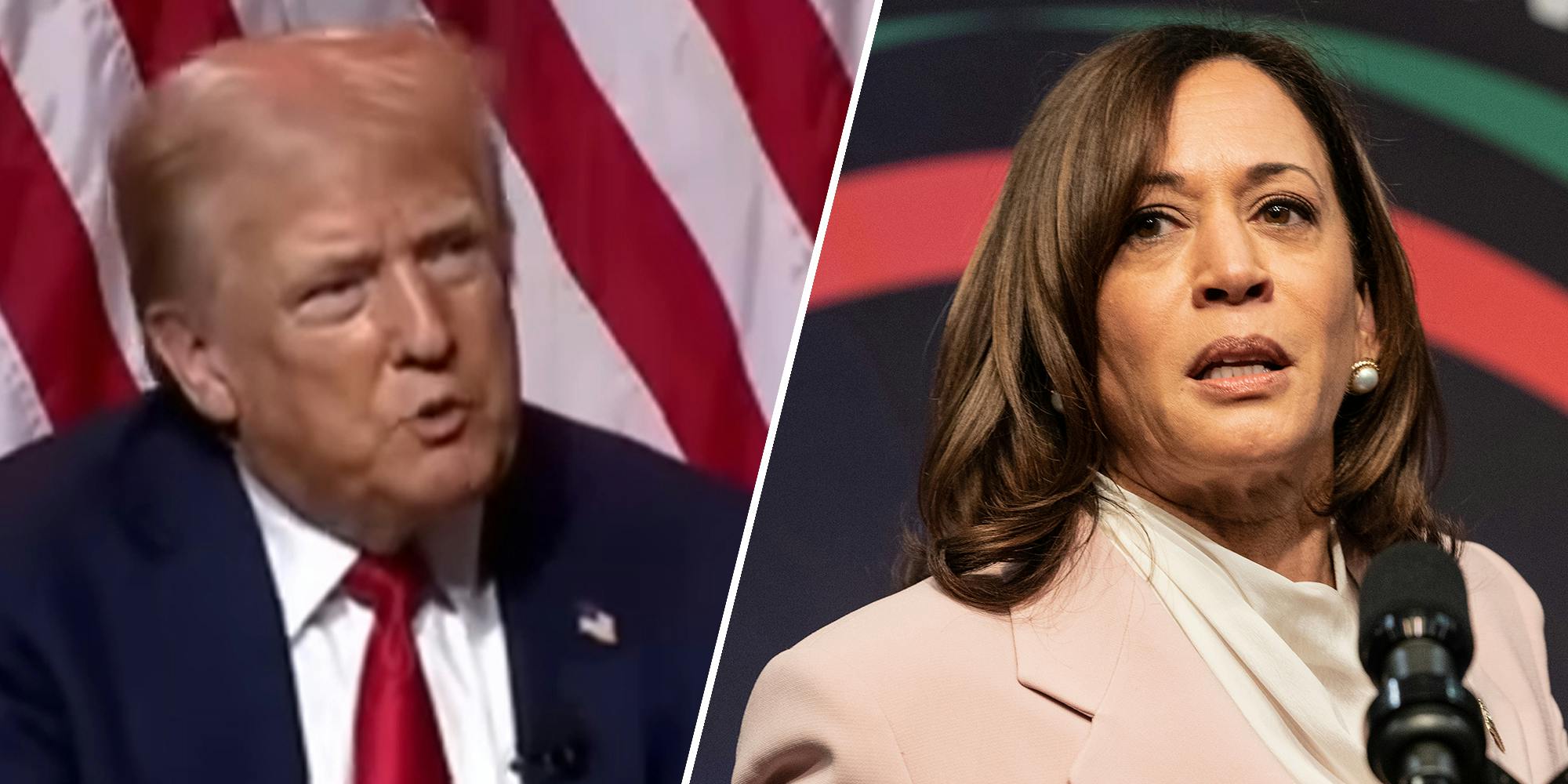 Trump grants MAGA permission to go all in on Harris' race—and they enthusiastically oblige