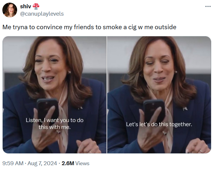 Kamala let's do this together meme about smoking with friends.