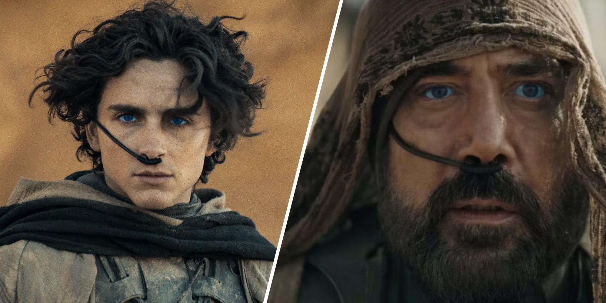 Timotee Chalamet in Dune(L); Javier Bardem in dune(r)