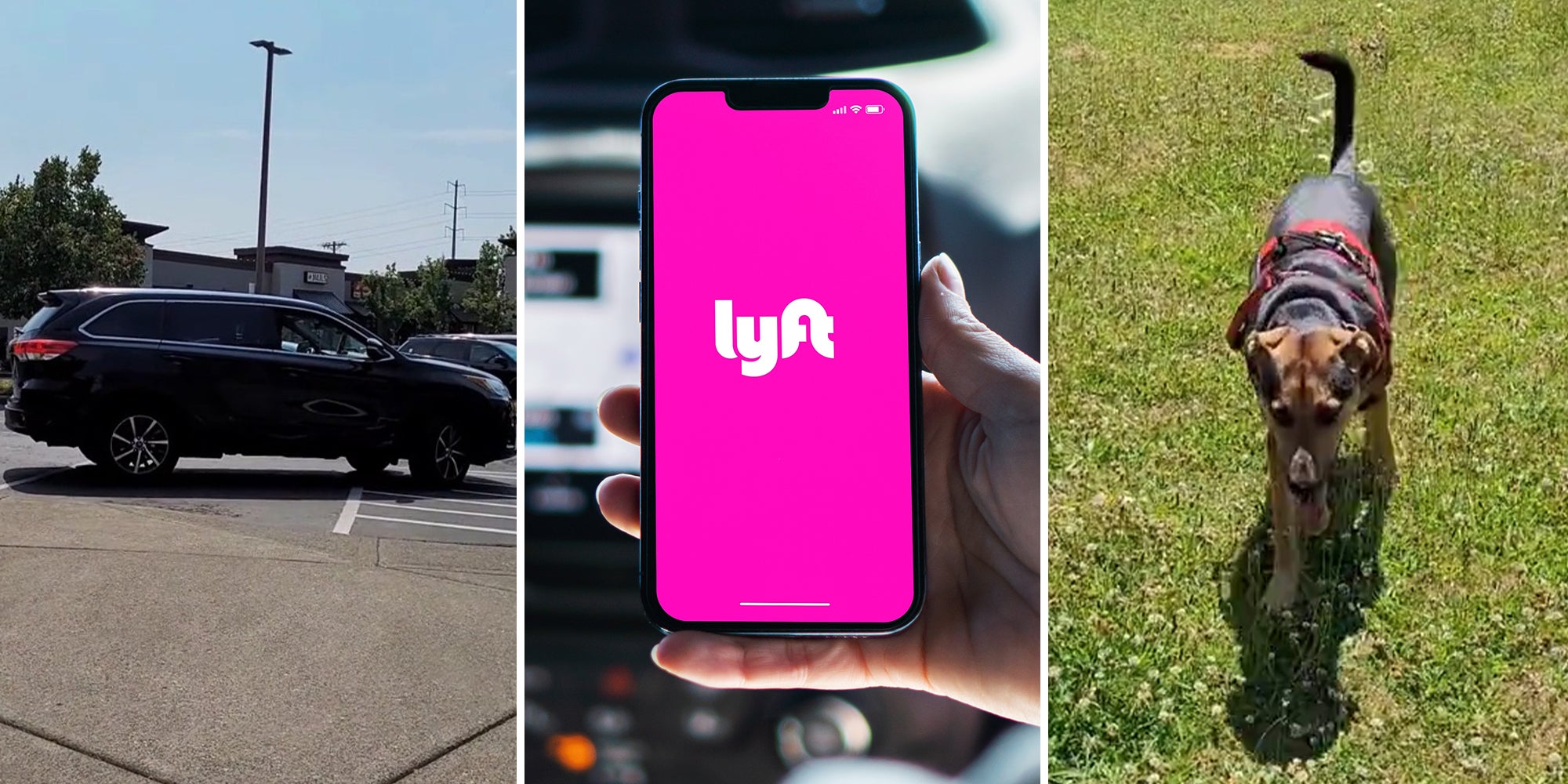 Customer puts Lyft driver on blast for refusing service dog