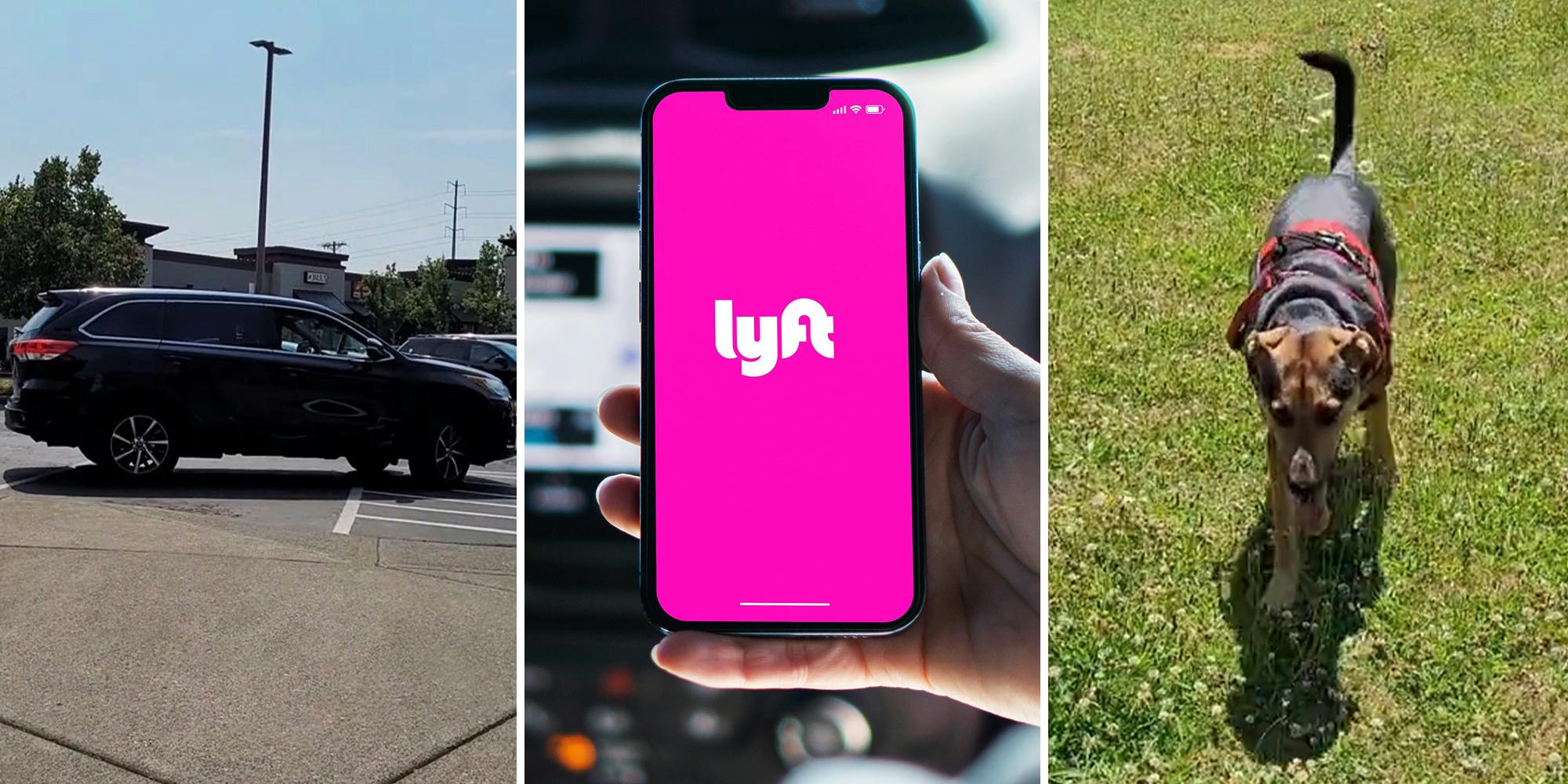 Customer puts Lyft driver on blast for refusing service dog